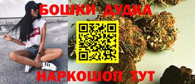 МДПВ Бийск