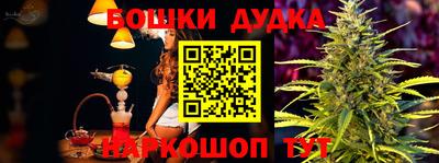 МДПВ Бийск