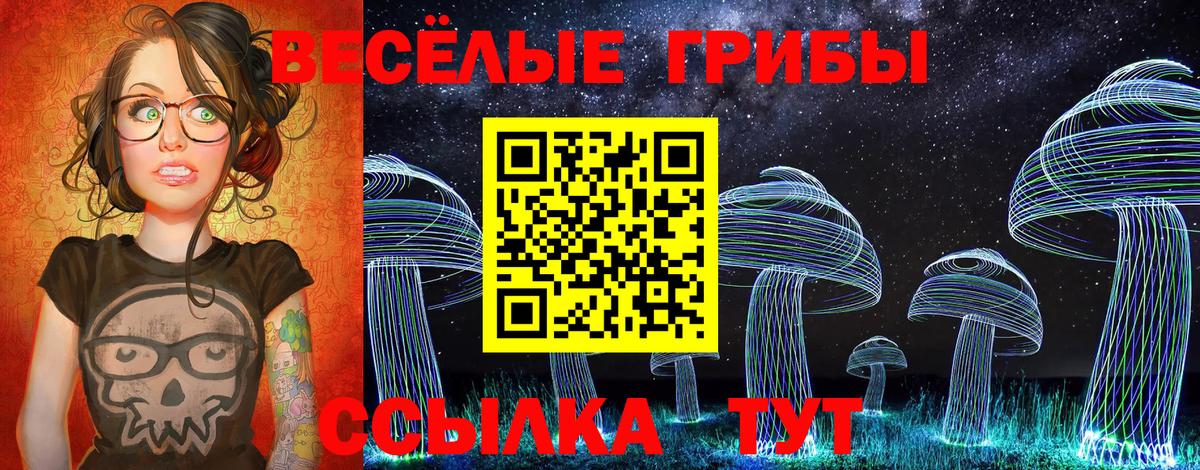 Канаш  купить наркоту  Вход с VPN  Псилоцибиновые грибы Magic Shrooms 