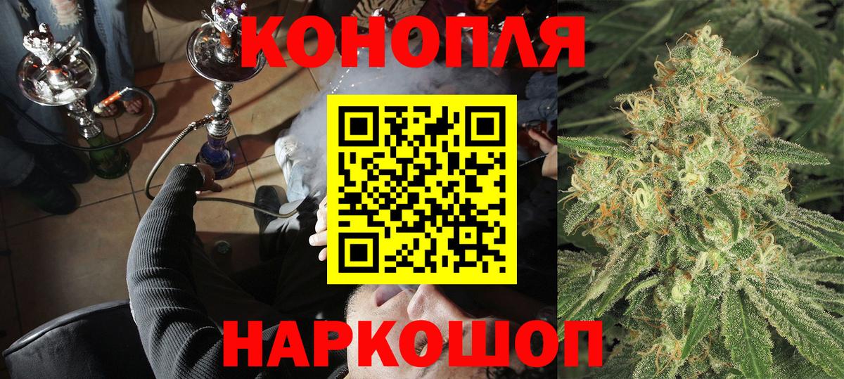 Шишки марихуана семена Канаш